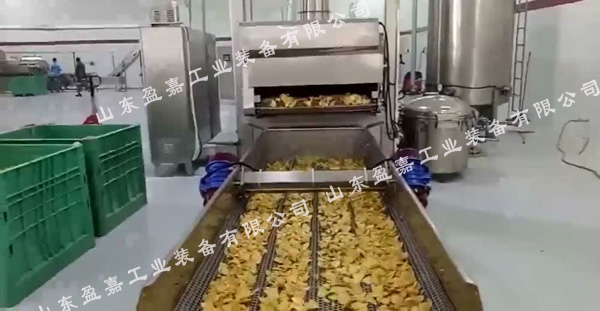 薯片油炸流水線_000240000.jpg