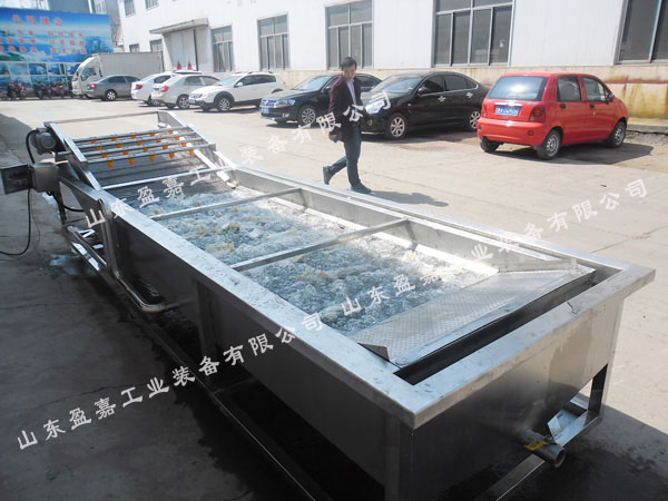 盈嘉全自動氣泡蔬菜清洗機