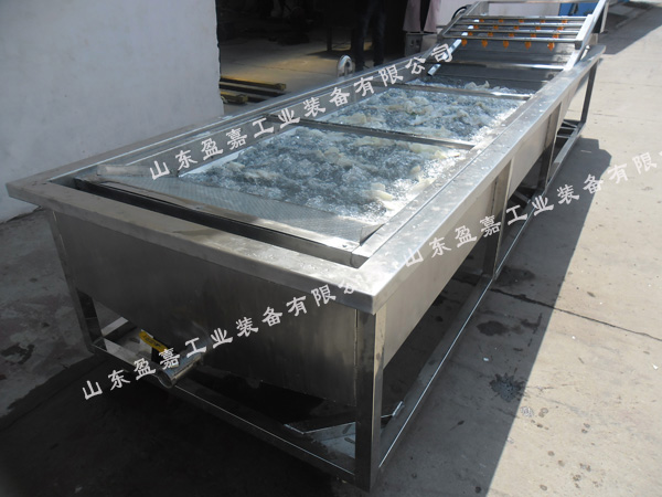 連續(xù)式蘑菇鼓泡清洗機，支持加工定制
