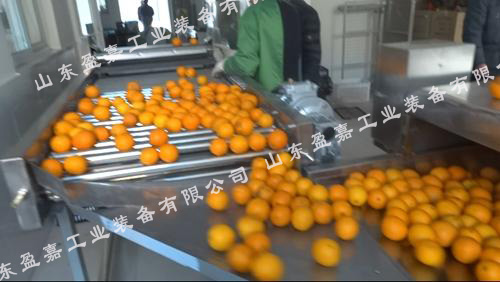 根莖類產品專用毛輥果蔬清洗機